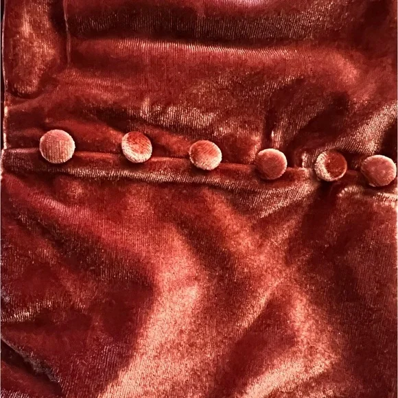 Brownish Red Velvet Cowl Neck Maxi Dress - Picture 6 of 7